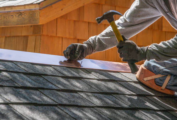 Best Roof Maintenance and Cleaning  in Assumption, IL