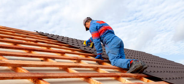Best Solar Panel Roofing Installation  in Assumption, IL